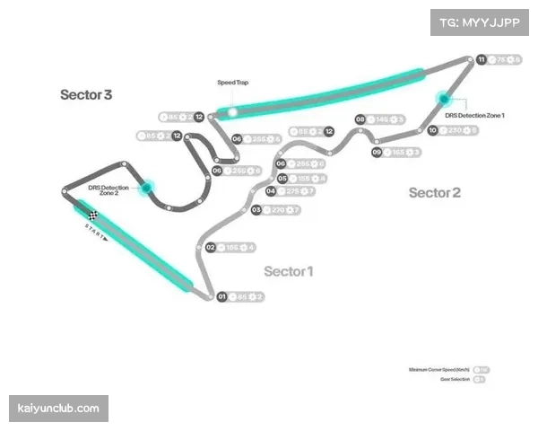 F1赛道特性差异放大车队竞争格局 各队性能取舍显策略 F1赛道特性差异放大车队竞争格局 各队性能取舍显策略